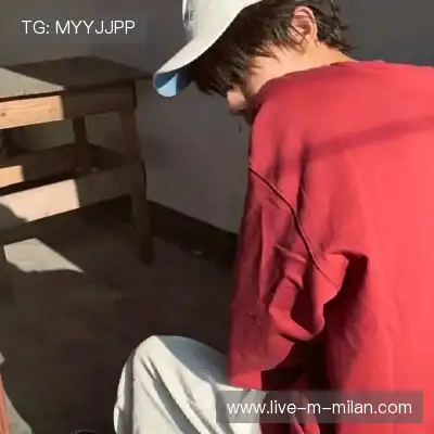 万桢翼